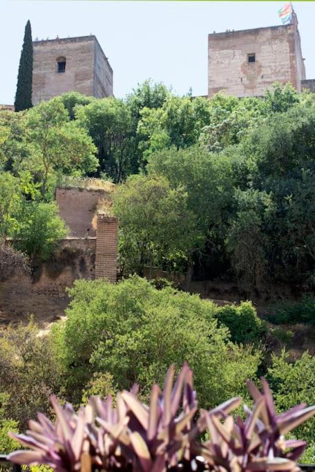 Alhambra Enamora 1 -Paseo De Los Tristes View 1 -C Granada Exterior foto